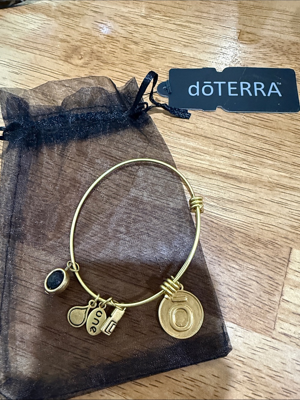 doTERRA Gold-Tone Charm Bangle Bracelet - with lava rock charm for diffusing oil